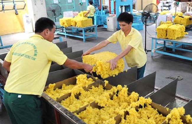 Tháng 8, kim ngạch xuất khẩu cao su tăng hơn 21% 